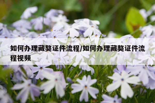 如何办理藏獒证件流程/如何办理藏獒证件流程视频