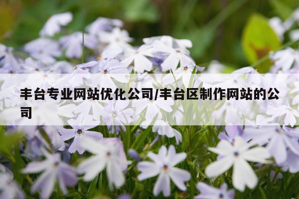 丰台专业网站优化公司/丰台区制作网站的公司