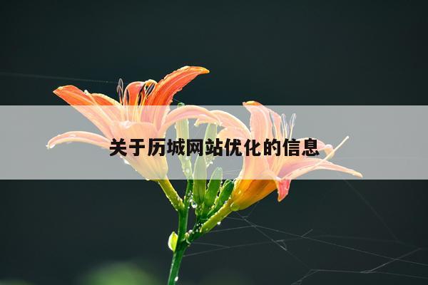 关于历城网站优化的信息