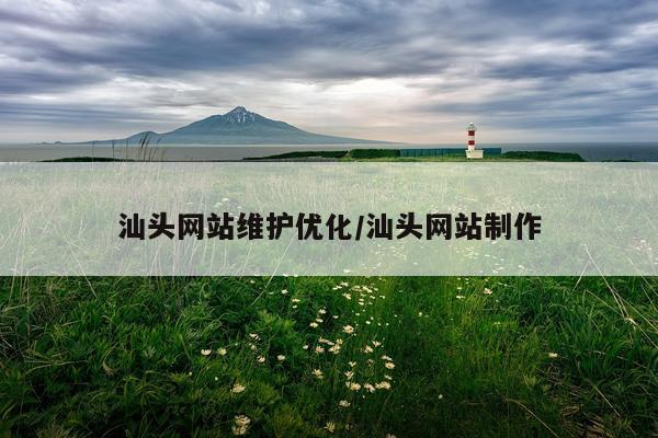 汕头网站维护优化/汕头网站制作