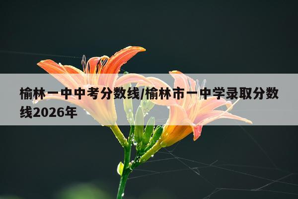 榆林一中中考分数线/榆林市一中学录取分数线2026年