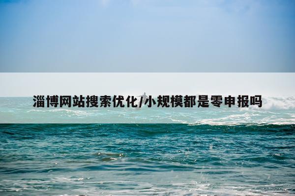 淄博网站搜索优化/小规模都是零申报吗