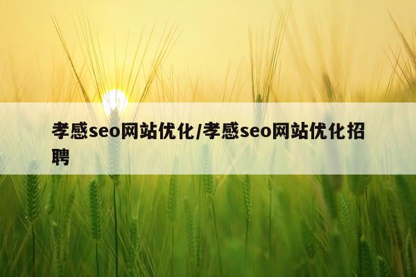 孝感seo网站优化/孝感seo网站优化招聘