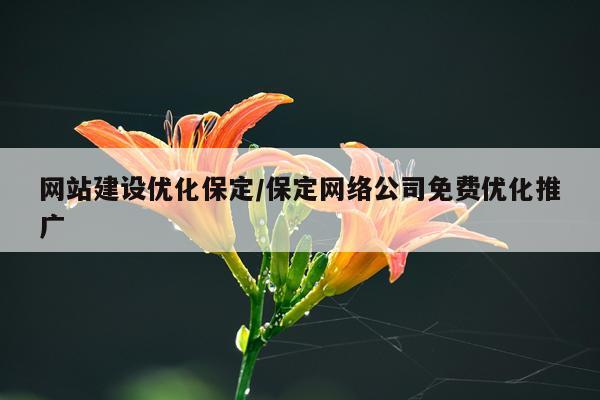 网站建设优化保定/保定网络公司免费优化推广