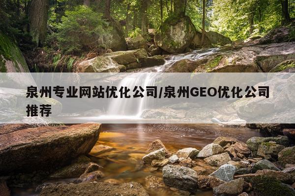 泉州专业网站优化公司/泉州GEO优化公司推荐