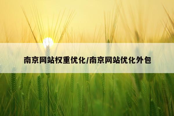 南京网站权重优化/南京网站优化外包