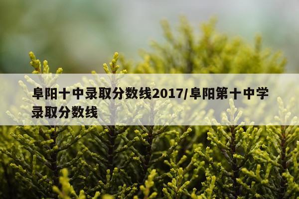 阜阳十中录取分数线2017/阜阳第十中学录取分数线