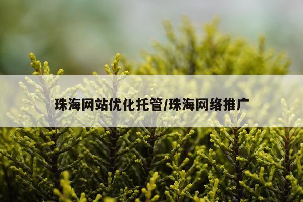 珠海网站优化托管/珠海网络推广