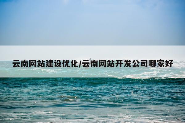 云南网站建设优化/云南网站开发公司哪家好