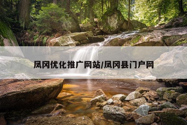 凤冈优化推广网站/凤冈县门户网