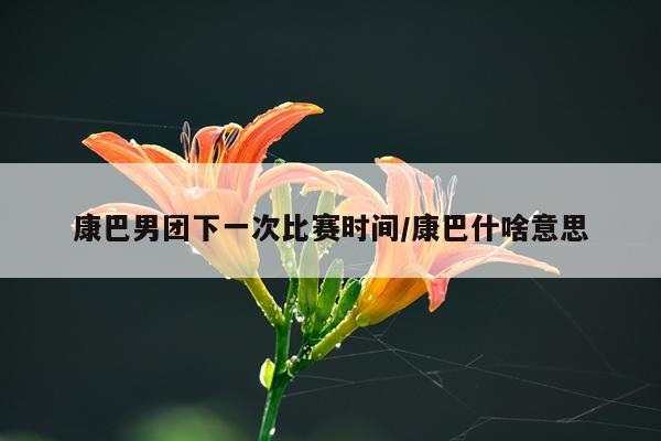 康巴男团下一次比赛时间/康巴什啥意思