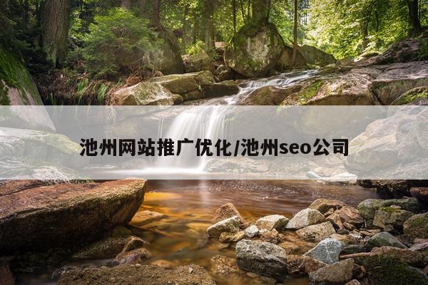 池州网站推广优化/池州seo公司