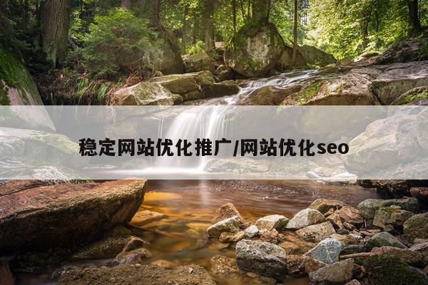 稳定网站优化推广/网站优化seo