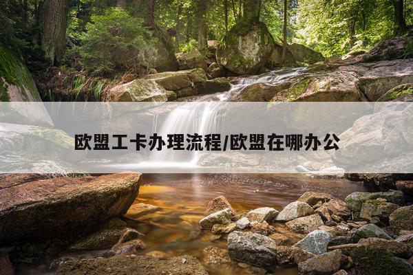欧盟工卡办理流程/欧盟在哪办公
