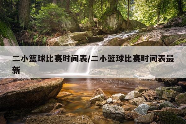 二小篮球比赛时间表/二小篮球比赛时间表最新