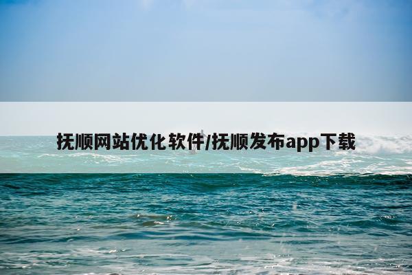 抚顺网站优化软件/抚顺发布app下载