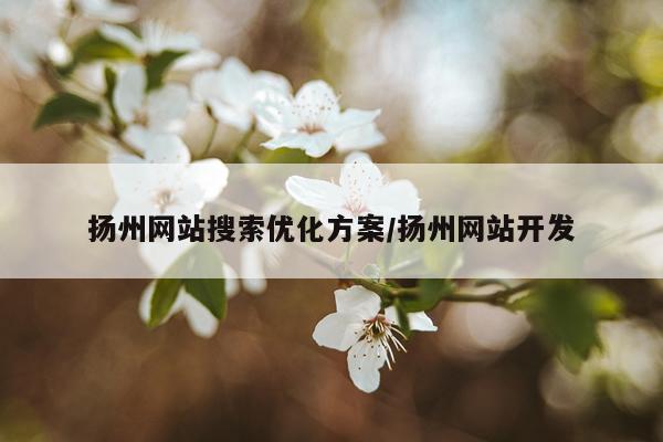 扬州网站搜索优化方案/扬州网站开发
