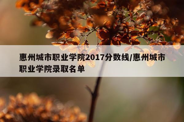 惠州城市职业学院2017分数线/惠州城市职业学院录取名单