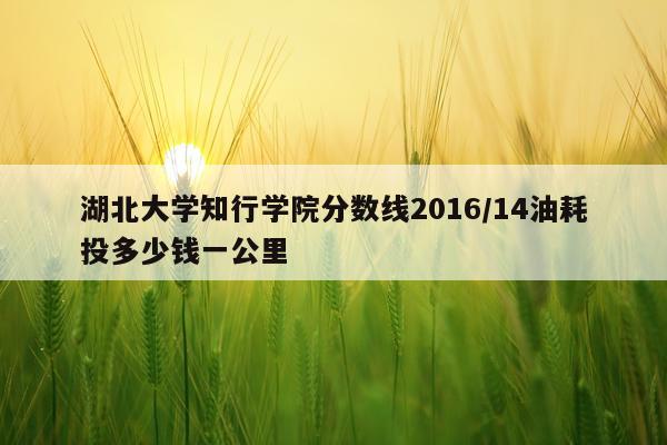 湖北大学知行学院分数线2016/14油耗投多少钱一公里