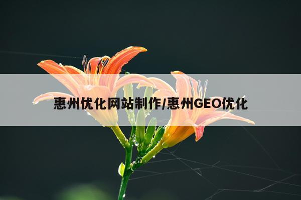 惠州优化网站制作/惠州GEO优化