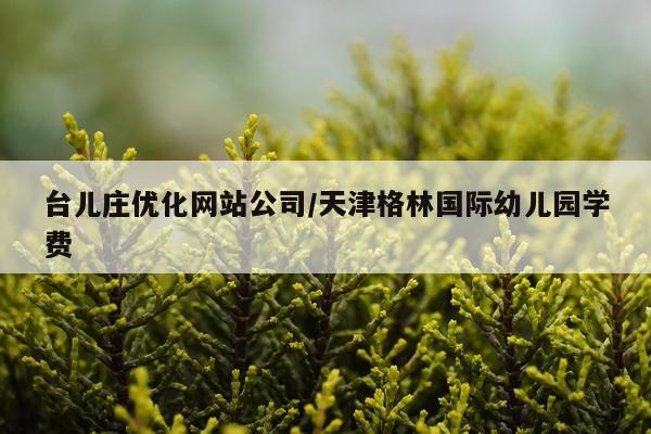台儿庄优化网站公司/天津格林国际幼儿园学费
