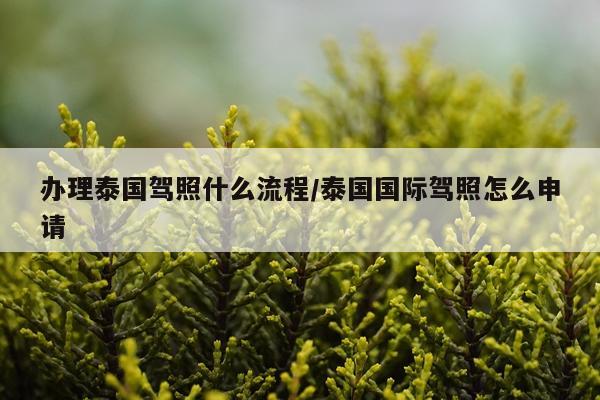 办理泰国驾照什么流程/泰国国际驾照怎么申请