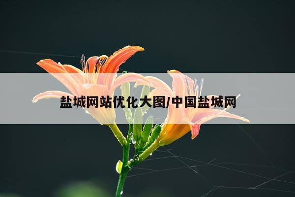 盐城网站优化大图/中国盐城网
