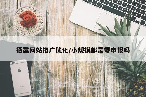 栖霞网站推广优化/小规模都是零申报吗