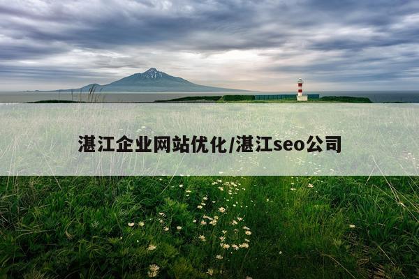 湛江企业网站优化/湛江seo公司