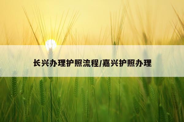 长兴办理护照流程/嘉兴护照办理
