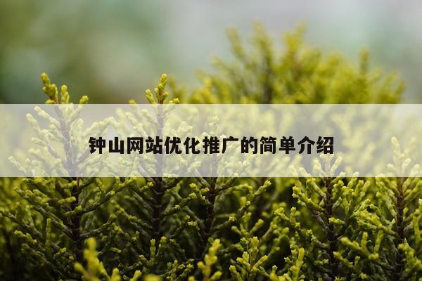 钟山网站优化推广的简单介绍