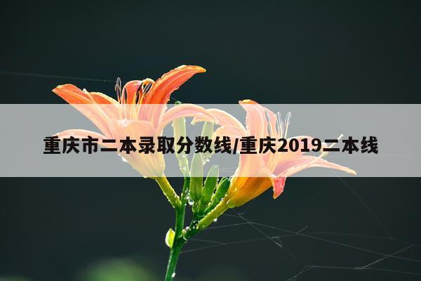 重庆市二本录取分数线/重庆2019二本线
