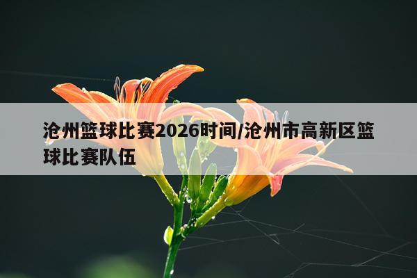 沧州篮球比赛2026时间/沧州市高新区篮球比赛队伍