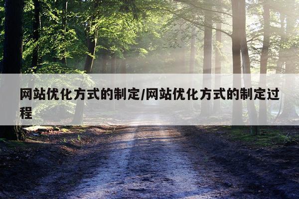 网站优化方式的制定/网站优化方式的制定过程
