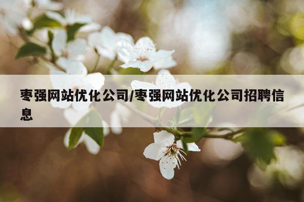 枣强网站优化公司/枣强网站优化公司招聘信息
