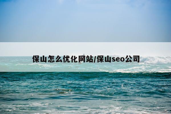 保山怎么优化网站/保山seo公司