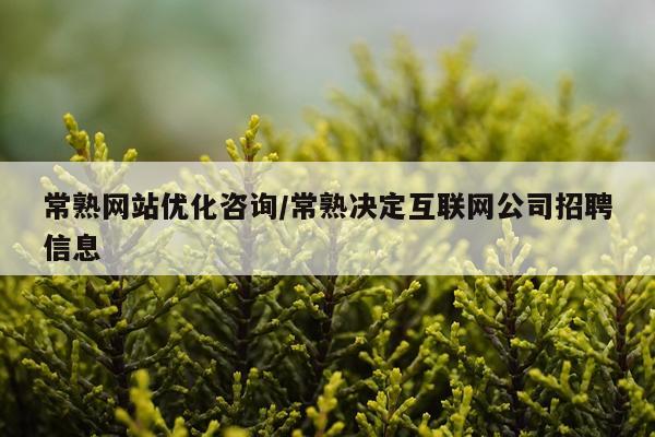 常熟网站优化咨询/常熟决定互联网公司招聘信息
