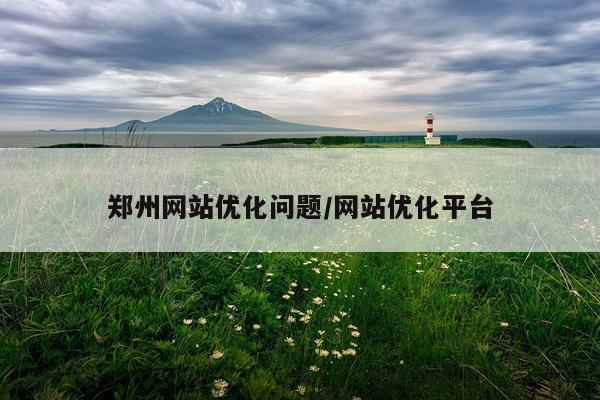 郑州网站优化问题/网站优化平台