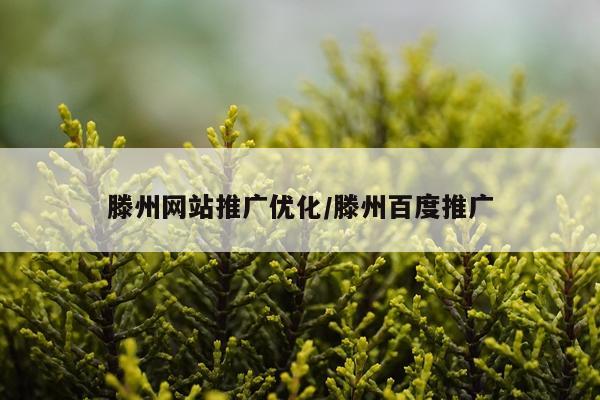 滕州网站推广优化/滕州百度推广