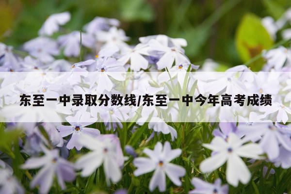 东至一中录取分数线/东至一中今年高考成绩