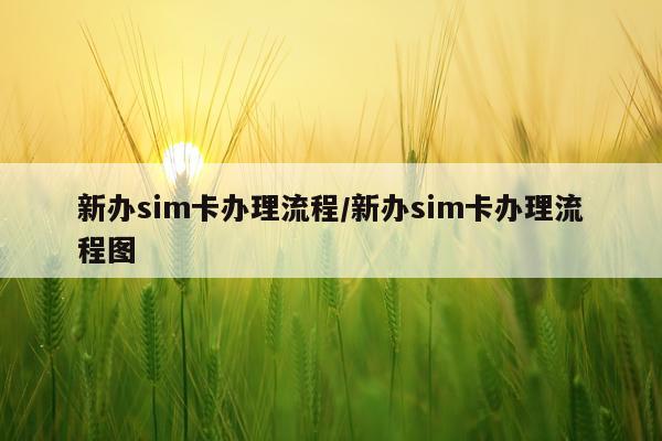 新办sim卡办理流程/新办sim卡办理流程图