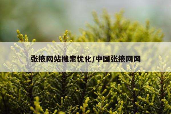 张掖网站搜索优化/中国张掖网网