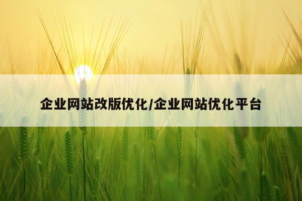 企业网站改版优化/企业网站优化平台
