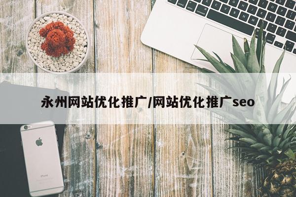 永州网站优化推广/网站优化推广seo