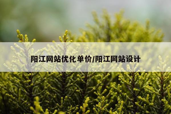 阳江网站优化单价/阳江网站设计