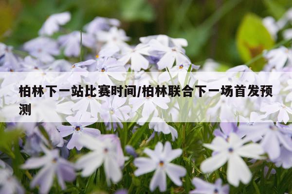 柏林下一站比赛时间/柏林联合下一场首发预测
