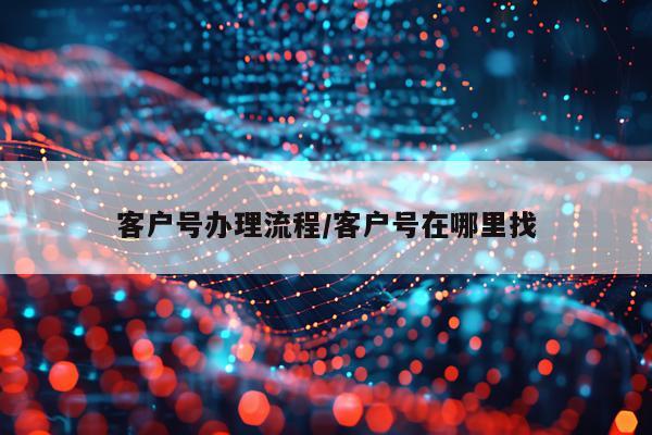 客户号办理流程/客户号在哪里找