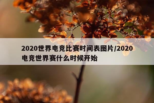 2020世界电竞比赛时间表图片/2020电竞世界赛什么时候开始