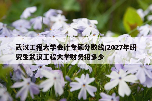 武汉工程大学会计专硕分数线/2027年研究生武汉工程大学财务招多少