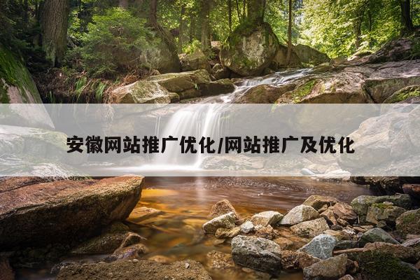 安徽网站推广优化/网站推广及优化